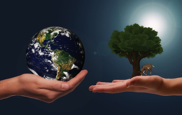 Cultivating Eco-Warriors: Can Children Help in Combating Climate Change?